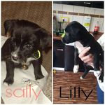 Darleen Lydia - @_sally_lilly - Instagram
