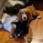 Sally & Lilly - @sally.e.lilly - Instagram