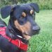 Sally Lilly - Facebook