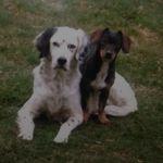 Sally Lilly - @sally.lilly.7315 - Instagram