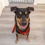 Sally Lilly - @sally.hmz - Instagram