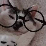 Sally Lilly - @lilly_loebe - Instagram