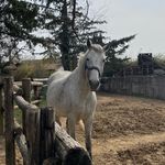 @sally_lilly_ - Instagram