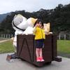 sally Lin - @sallylin14 - TikTok