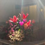 Sally Lin - Facebook