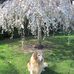 Sally Lind - Facebook