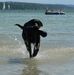 Sally Loos - Facebook