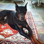 Sally Lott - Facebook