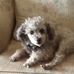 Sally Lott - Facebook
