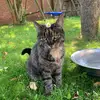 Sally_Lotti123 - @sally_lotti8 - TikTok