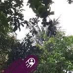 Seli Lianti - Facebook