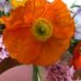 Sally Macklin - Facebook