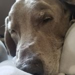 sally maddox - @salmaxvibe - Instagram