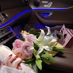 Sally Sally - @sallymaier7 - Instagram