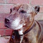 Sally Main - Facebook