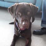Sally Main - Facebook