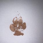 Nadia Major - @sallymajor2021 - Instagram