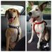 Sally &amp; Major - Facebook