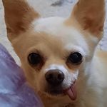 Sally Major - @salsmjr - Instagram