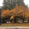 Sallymally - @sallymally0101 - TikTok