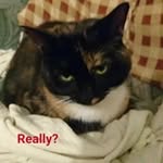 Sally Markham - @eldestgruff - Instagram