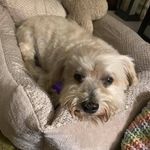 Sally Marks - @sweetisally - Instagram