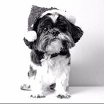 Sally Marlow - @jallysudd - Instagram