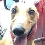 S_S_M /Sally Stanley Marvin - @sally_sausage_marvin - Instagram