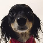 sally + marvin - @sallylovesmarvin - Instagram