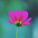 Sally Maxey - @slmaxey17 - Instagram