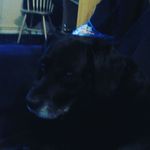 Sally-anne Dashper Maynard - @sallymaynard8 - Instagram