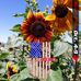 Sally McArthur - Facebook