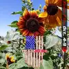 sallymcarthur580 - @sallymcarthur580 - TikTok