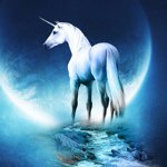 Sally McCartney - @sallyunicorn - Instagram