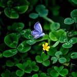 Sally McCombs Coffield - @sallycoffield - Instagram