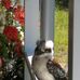 Sally McCracken - Facebook