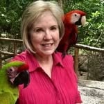 Sally McCracken - @msmcc49 - Instagram