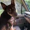 Sally-Anne McManus - @sallyanne.mcmanus - TikTok