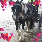 Sally Meehan - @sally.meehan.9 - Instagram
