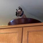 Sally Mellinger - @sallymellinger - Instagram