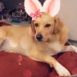 Sally Messer - @my_beautiful_lilly - Instagram