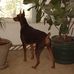 Sally Messick - Facebook