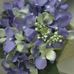 Sally Messick - Facebook