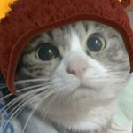 yumeno - @sally_mickey8 - Instagram