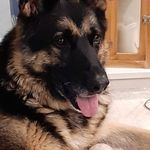 Sally Minter - @sallyminter371 - Instagram