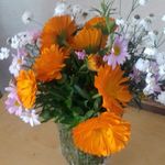 Sally Richardson Minter - @crazycollie003 - Instagram