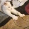 sallymolina79 - @sallymolina79 - TikTok
