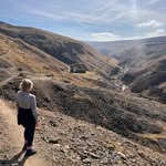Sally Muir - @sallyattheoldrectory - Instagram