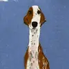 Sally Muir - @sally.muir6 - TikTok