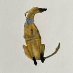 Sally Muir - @sallymuir - Instagram